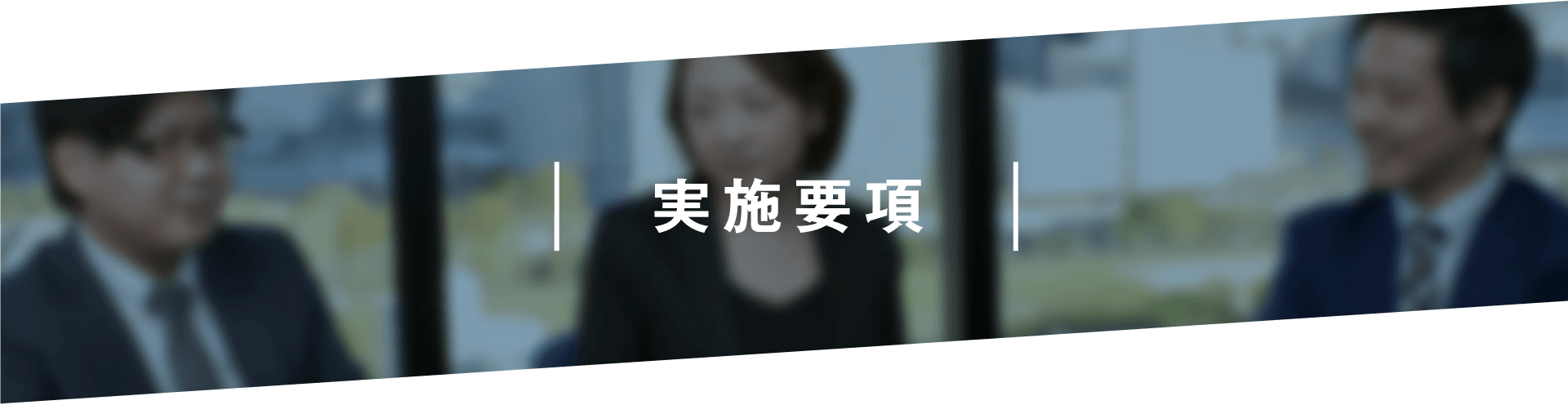 | 実施要項 |