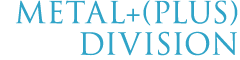 METAL+(PLUS) DIVISION