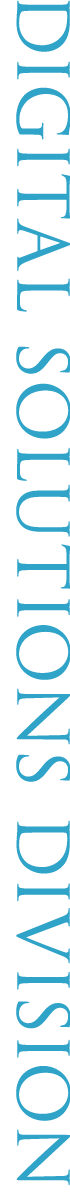 DIGITAL SOLUTIONS DIVISION