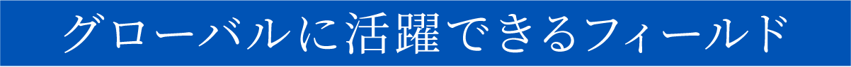 グローバルに活躍できるフィールド