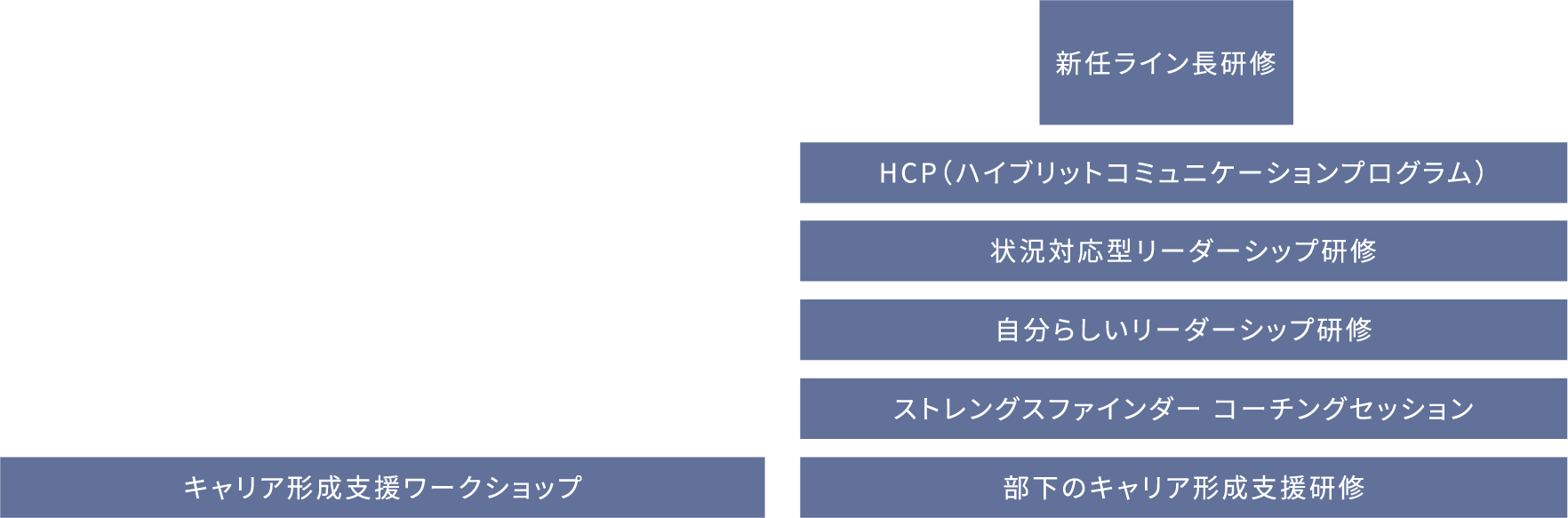 新任管理者研修（課長クラス）HCP（ハイブリットコミュニケーションプログラム）SLII（状況に対応したリーダーシップ研修）ストレングスファインダー コーチングセッションLead the SELF（キャリアディベロップメント研修）