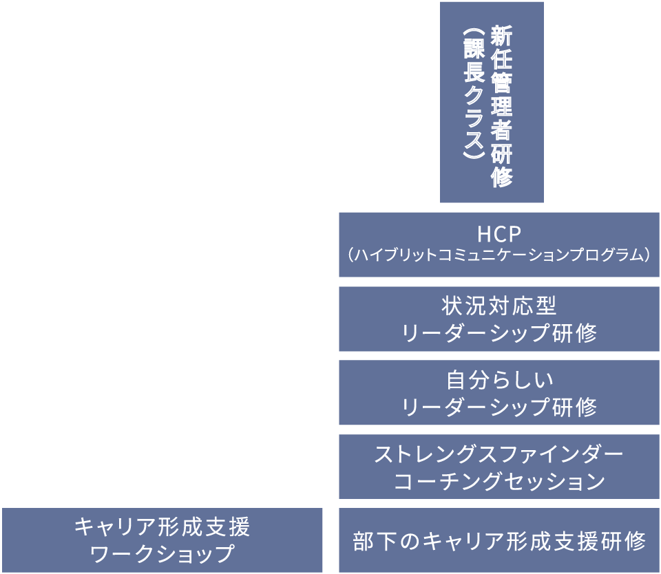 新任管理者研修（課長クラス）HCP（ハイブリットコミュニケーションプログラム）SLII（状況に対応したリーダーシップ研修）ストレングスファインダー コーチングセッションLead the SELF（キャリアディベロップメント研修）